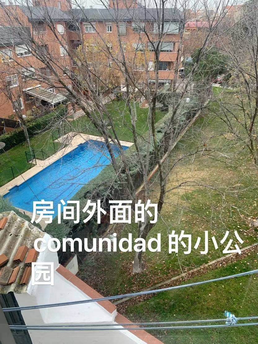 Piso en alquiler en Majadahonda (7)