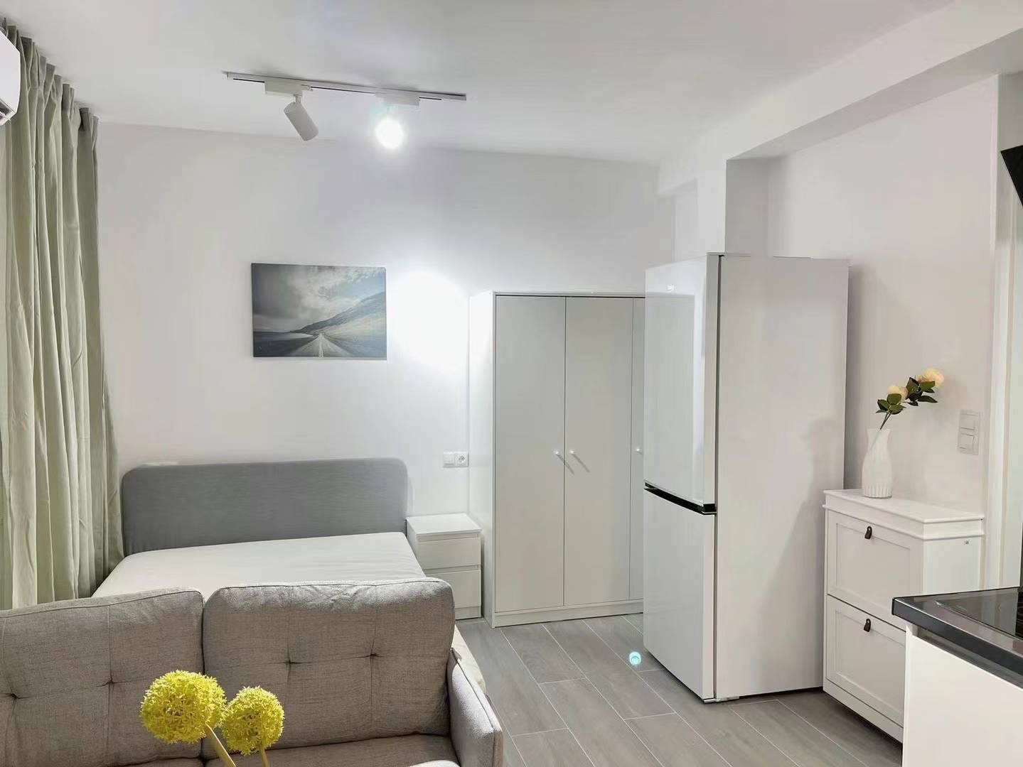 Estudio en alquiler en Madrid (3)