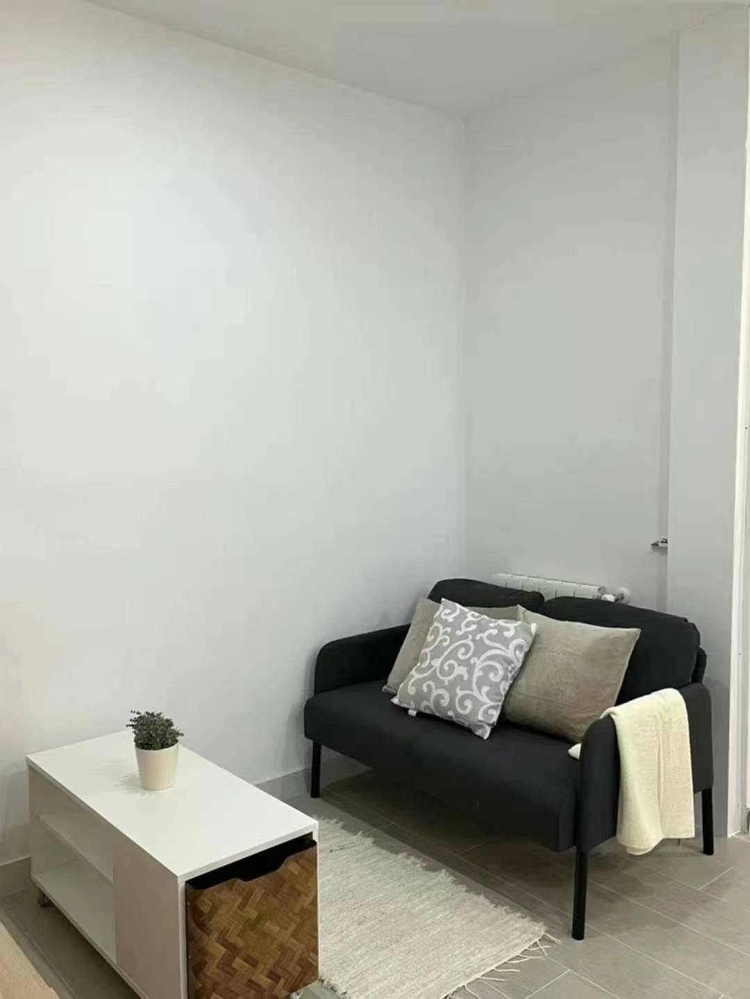 Estudio en alquiler en Madrid (4)