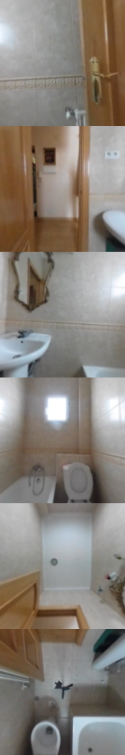 Baño1