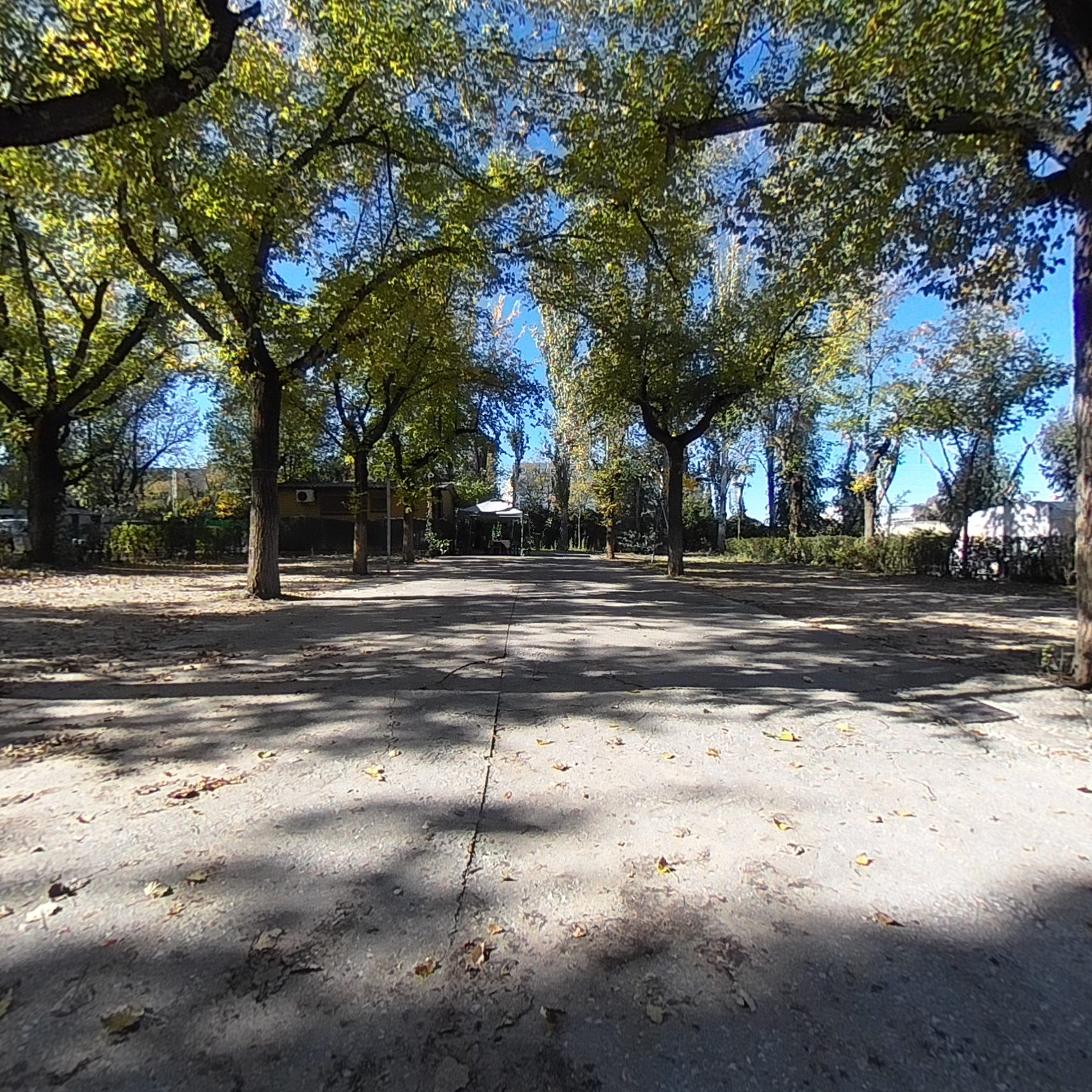 Parque