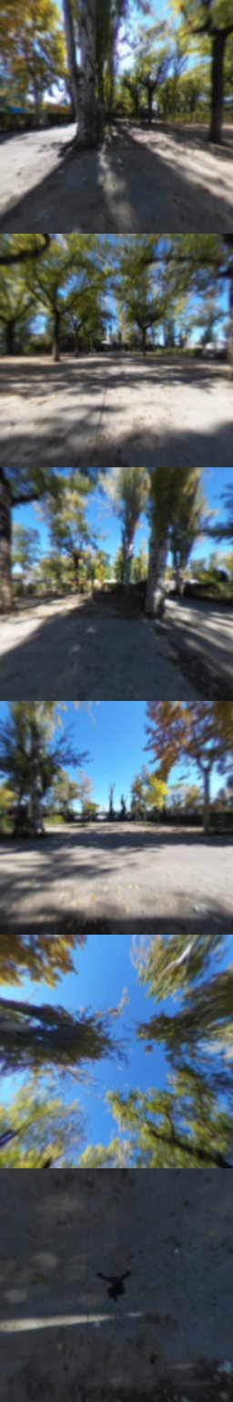 Parque