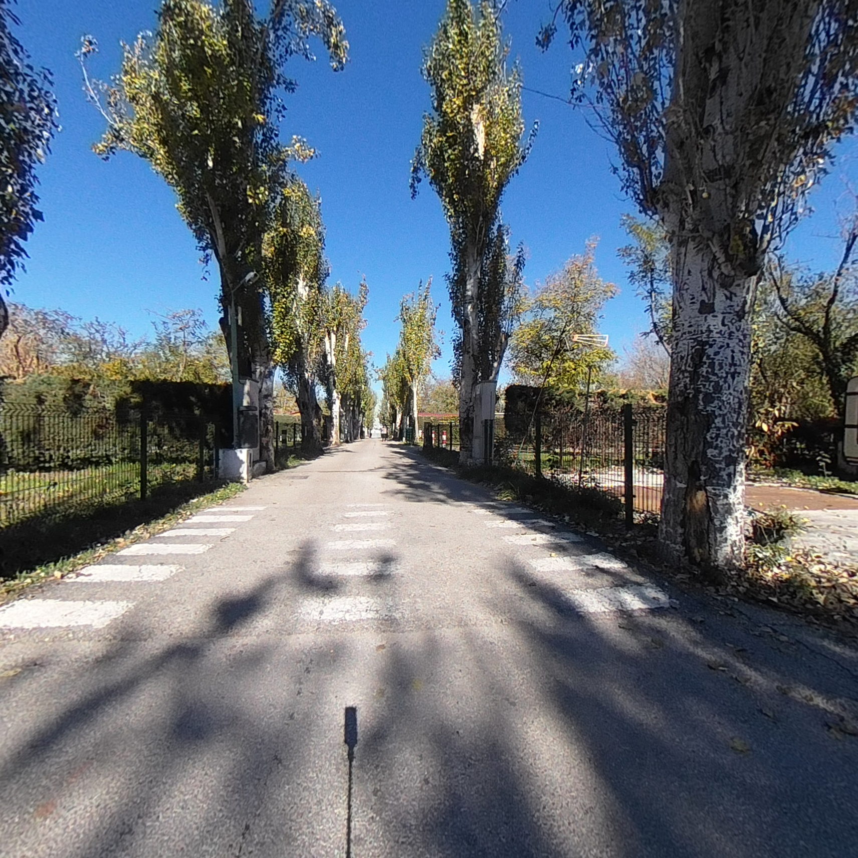 calle4