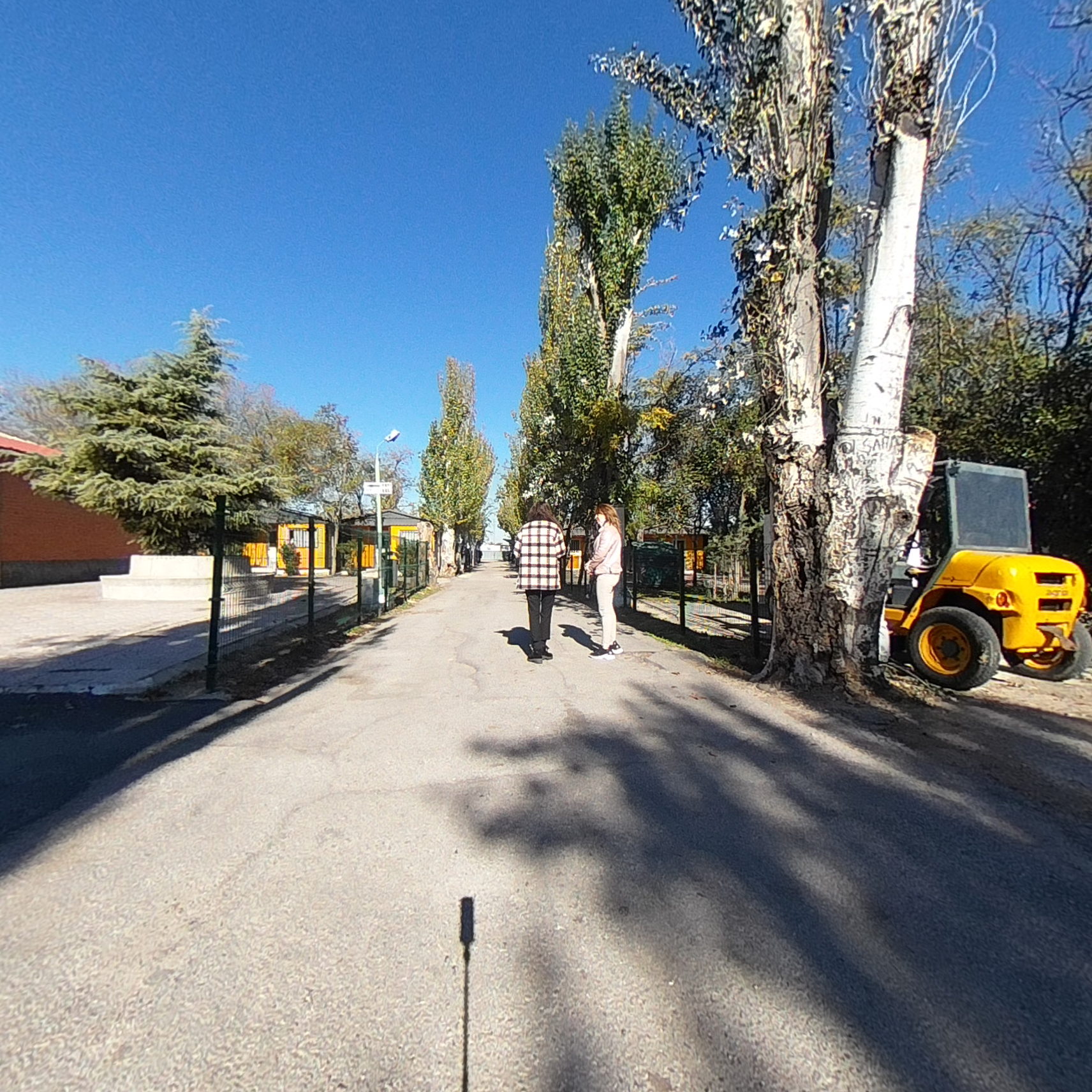 calle 5