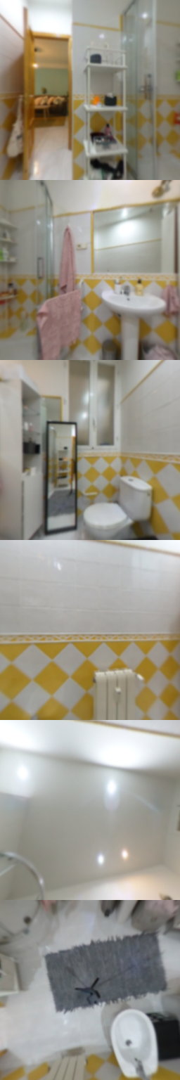baño1
