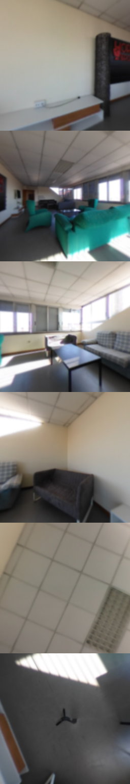 salón