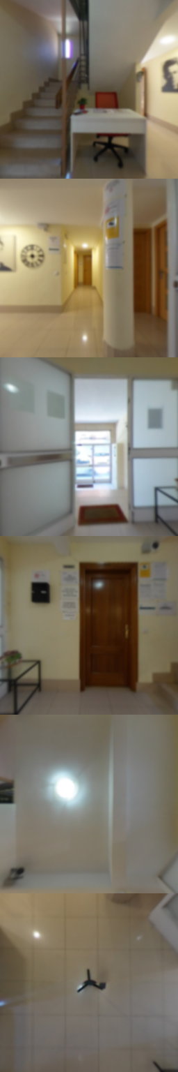 Recepción
