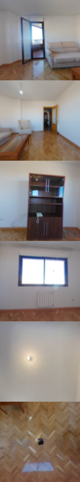 Slón
