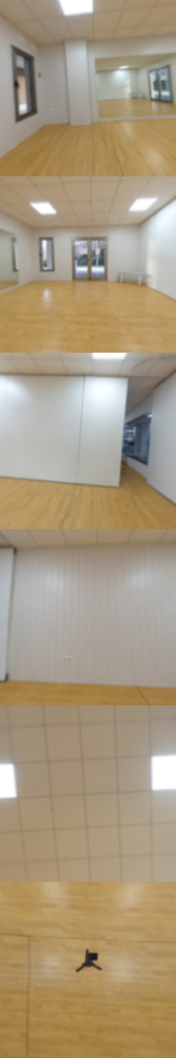 Sala del gimnacio