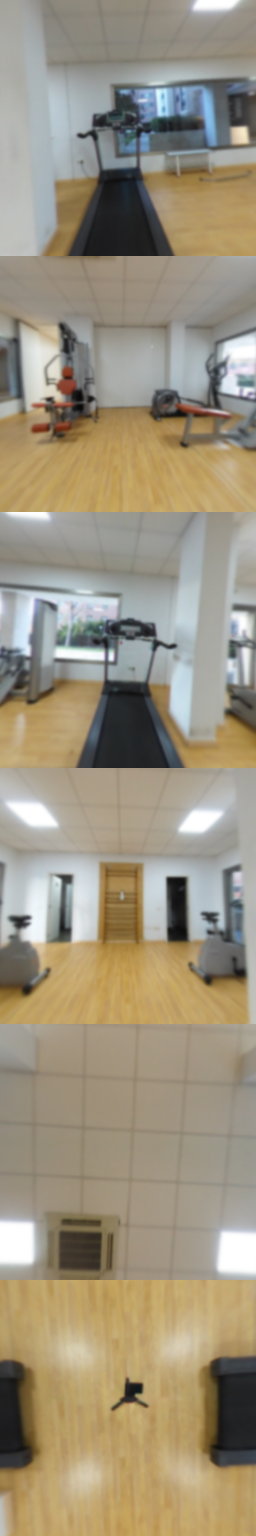 Gimnasio