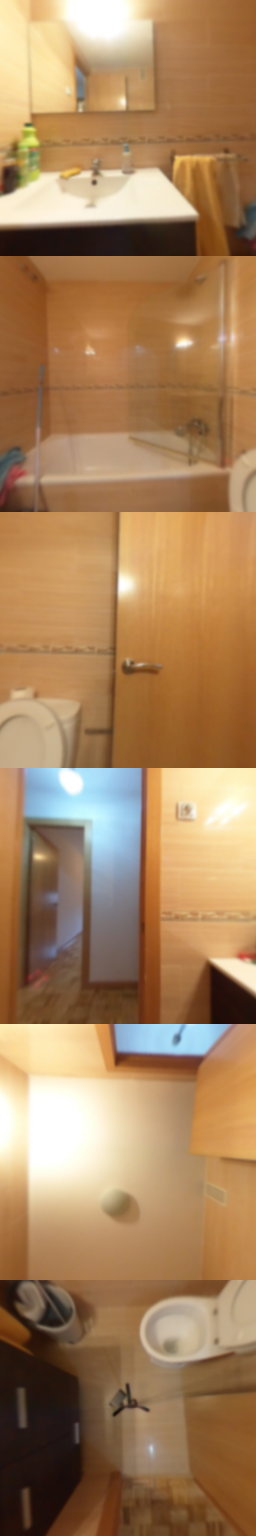 Baño1