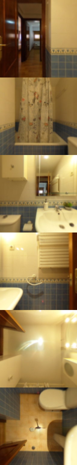 Baño1