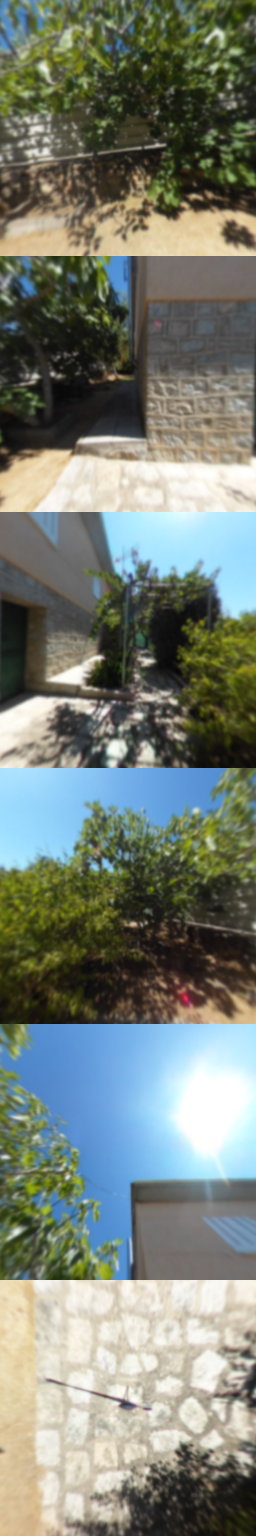 Jardin 3