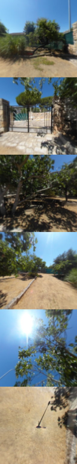 Jardin 1